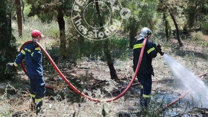 Αναστάτωση από πυρκαγιά στο Σέιχ Σου – Ισχυρές πυροσβεστικές δυνάμεις στην περιοχή (βίντεο)